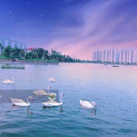 Bán Căn Góc 2 Ngủ View Hồ Điều Hoà Ngắm Thiên Nga Tầng 15 Siêu Đẹp Kđt Thanh Hà Hà Đông 76M2 2,X Tỷ