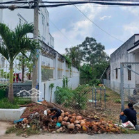 Bán Đất 166M2 Tại Nguyễn Đình Kiên, Hưng Long, Bình Chánh, Giá Bán 786 Triệu. Xây Dựng Tự Do, Shr