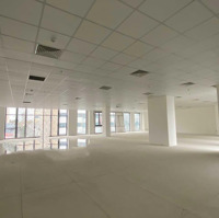 Bql Cho Thuê Văn Phòng The May Legend, Hồng Bàng, Hải Phòng. Diện Tích: 50M2, 60M2, 120M2, 250M2, 1000M2
