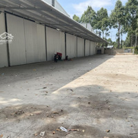 Cho Thuê Khomặt Tiềnhoàng Quốc Việt, P. Phú Mỹ, Q7 - 80 Triệu/Tháng Vào Khai Thác Luôn, Đường Xe Cont 24/24