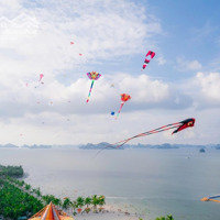 3 Căn Khe Thoáng Cần Bán Gấp Thanh Toán Nhanh Và Đảm Bảo Giá Tốt Tại Phương Đông Vân Đồn