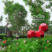 Hot! Chuyên Cho Thuê Giá Rẻ Ở Liền 2- 3 Phòng Ngủchỉ Từ 8.5 Tr Gần Lê Đ Hành-Âu Cơ-Lữ Gia -Ngã 4 Llq-Âu Cơ