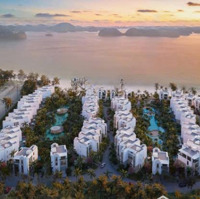 Em Xuân Bán Căn Ngoại Giao Duy Nhất Giá Đẹp Ngoại Giao,Căn Biệt Thự Biệt Lập Víp Của Bim Grup Dt298