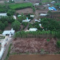 Cần Bán 2435M2 Đất Thổ Cư, Gần Ngã 6 Cây Me Đá Bạc