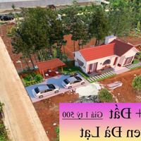 Bán Gấp Nhà Đất Tân Hội, Lâm Hà - Ngang 7M - 2 Phòng Ngủ Sân Vườn - Giá Bán 1,5 Tỷ