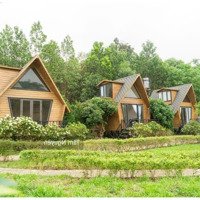 Chính Chủ Gửi Bán Khu Nghỉ Dưỡng Có Thể Khai Thác Vận Hành Luôn Tại Kim Bôi, Hòa Bình