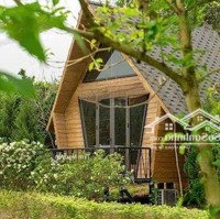 Chính Chủ Gửi Bán Khu Nghỉ Dưỡng Có Thể Khai Thác Vận Hành Luôn Tại Kim Bôi, Hòa Bình