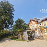 Bán Gấp Siêu Phẩm Biệt Thự Pháp Cổ Vị Trí Trung Tâm Sinh Lợi Đỉnh Cao
