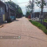 Hàng Hiếm Gần Chợ Tôn Thạnh, Mỹ Lộc, Cần Giuộc. 140M2/ 630 Triệu. Shr, Mua Bán Liền Trong Ngày, Full Thổ