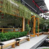 Biệt Thự Lô Góc Tại Hàm Nghi - Mỹ Đình. Vị Trí Đông Dân Cư Phù Hợp Kinh Doanh Cafe, Showorm