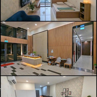 Cho Thuê Cc Lavida Plus, 8,5 Triệu, 28M2, 1 Phòng Ngủ 1 Vệ Sinh Full Nội Thất Tại Q7, Hcm