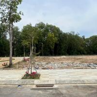THANH LÝ GẤP LÔ ĐẤT 195M2 NGANG 8 DUY NHẤT NGAY CHỢ LỘC AN, PHƯỚC HỘI, BRVT