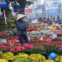 Chính Chủ Tôi Già Rồi Cần Bán Đất Hoàng Hoa Thám Chia Tài Sản Cho Các Con, Bán Nhanh Giá Bán 160 Triệu/M