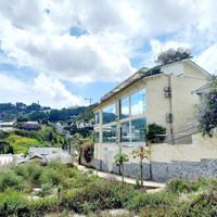 Đất Biệt Thự 430M2 Đường An Bình Tp Đà Lạt. Giá Cực Tốt. Ra Hồ Xuân Hương Và Chợ Đà Lạt Chưa Đầy 5P