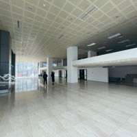 Công Ty Cần Cho Thuê Siêu Toà Nhà Văn Phòng,Diện Tích850M2Mặt Tiền30M, Xd 21T. Nhà Mới Xây Dựng, Pháp Lý Đủ