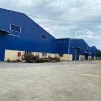 Chuyển Nhượng Mảnh Đất 11.000 M2 Kho Xưởng An Lão - Hải Phòng