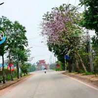 Bán Đất Tại Yên Mỹ, Thanh Trì, Hà Nội, Giá Ưu Đãi, Diện Tích 290 M2