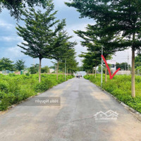 Lô Hiếm Đồng Trạng, Cổ Đông Giá Dưới 2 Tỷ , Diện Tích 65,2M2
