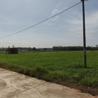 Bán Đất Tại Xã Bình Thuận, 4 Tỷ, 20.000 M2, Pháp Lý Đầy Đủ