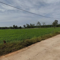 Bán Đất Tại Xã Bình Thuận, 4 Tỷ, 20.000 M2, Pháp Lý Đầy Đủ