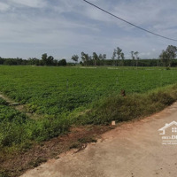 Bán Đất Tại Xã Bình Thuận, 4 Tỷ, 20.000 M2, Pháp Lý Đầy Đủ