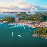 Siêu Phẩm Hiếm Thấp Tầng Xanh Island Cát Bà,Diện Tích135M2, Mặt Tiền 7.5M, View Biển, Pháp Lý Rõ Ràng.