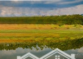 Lô Đất Đẹp An Sinh 699M 200M Thổ Cư Mặt Tiền 10M Giá Tốt Đầu Tư