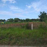 Bán Đất Tại Thôn Tân Hiệp, Xã Hòa Sơn, Ninh Sơn, Ninh Thuận, 450 Triệu, 216.9 M2 Giá Tốt Uy Tín