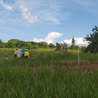 Bán Đất Tại Thôn Tân Hiệp, Xã Hòa Sơn, Ninh Sơn, Ninh Thuận, 450 Triệu, 216.9 M2 Giá Tốt Uy Tín