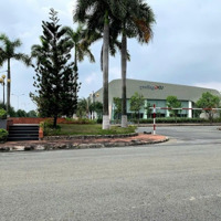 Bán Dn Senturia Vườn Lài, Giá Bán 2Tỷ2, 90M2, Ở An Phú Đông, Q12, Hcm Đẹp Xuất Sắc, Gần Với Bv, Trường.