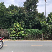 Bán Đất 2 Mặt Tiền Đường An Sơn 02 Và 38 Xã An Sơn , Tp , Thuận An , Bình Dương