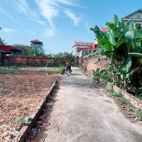 Bán Đất 113M2 Tại Xã Hồng Kỳ, Sóc Sơn, Hà Nội, Giá Bán 1,73 Tỷ