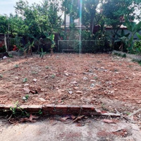 Bán Đất 113M2 Tại Xã Hồng Kỳ, Sóc Sơn, Hà Nội, Giá Bán 1,73 Tỷ