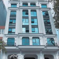 Dòng Tiền 250 Triệu/Tháng! Tòa Nhà Chdv Cao Cấp Ngay Bạch Đằng, Quận Bình Thạnh - 13X18M (Hầm + 6 Tầng)