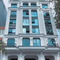 Dòng Tiền 250 Triệu/Tháng! Tòa Nhà Chdv Cao Cấp Ngay Bạch Đằng, Quận Bình Thạnh - 13X18M (Hầm + 6 Tầng)