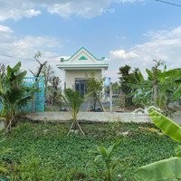 Nhà Vườn 1952M2 Phước Lợi Bến Lức Long An Giá Rẻ