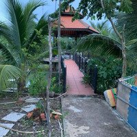 Nhà Vườn 1952M2 Phước Lợi Bến Lức Long An Giá Rẻ