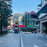 Cho Thuê Nhà Mặt Phố Trần Quốc Hoàn Mặt Tiền Khủng 8M Gần Trường, Vp, Đông Dân