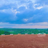 "Đầu Tư Thông Minh 2025 Đất Nền Di Linh 286 Triệuiệu/Lô, Sổ Riêng Từng Nền"