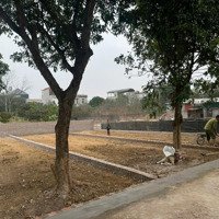 Siêu Hót Chính Chủ Cần Tiền Bán Gấp 108M Full Thổ Cư Tại Đồng Trạng, Cổ Đông Giá Chỉ 2 Tỷ 799 Triệu.