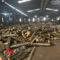 Cho thuê nhà xưởng Bình Mỹ – Bắc Tân Uyên, Bình Dương | 3.500m² – PCCC vách tường, điện 1000KVA. Liên hệ: Chothuexuongmiennam.com - 0366632092