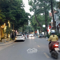 Bán Bt Đơn Lập Phố Lê Đức Thọ, Mỹ Đình 2,Dt205X4Txmt10M Giá Bán 49 Tỷ,Nhà Vượng Khí Chủ Làm Ăn Phát Tài
