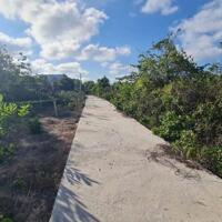 Bán đất 1800m2 có sẵn 300m thổ cư, view biển Xã tân Phước, Thị Xã LaGi, Bình Thuận. Giá 2tr 1m2