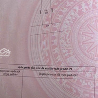 Chính Chủ Bán Gấp Đất Đấu Giá Xuân Nê, Ngọc Hồi, Thanh Trì, Phân Lô Ô Tô Đỗ, 99M2, Giá Nhỉnh 7 Tỷ