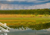 Đất Đẹp Giá Mềm Sổ Sẵn Mua Là Có Lời! An Sinh Đông Triều Quảng Ninh
