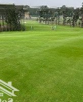 Sở Hữu Ngay Lô Đất Tiềm Năng An Sinh Gần Sân Golf Giá Tốt Nhất Khu Vực