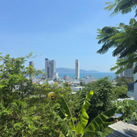 Bán 2 Lô Liền Kề Đất Nhánh Của Nguyễn Khắc Viện- View Trực Diện Biển Và Tp Nha Trang