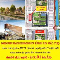 Hàng Ngoại Giao Vip 96M2 Giãn Xây Nhỉnh 15 Tỷ Vinhomes Đan Phượng Xây 4 Tầng , Kí Hđmb Luôn