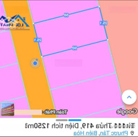 Bán Lô Đất Biệt Thự Phường Phước Tân Biên Hòa, Diện Tích 1250M2 Full Thổ Cư, Giá Chỉ 15 Triệu/M2