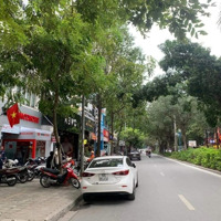 Duy Nhất Liền Kề Xa La 120M2X4T, Cách Phố Hạnh Hoa 50M, Lô Góc, Siêu Kinh Doanh, Giá Bán 30 Tỷ